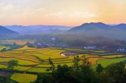 电競(jìng)比赛獎(jiǎng)金丰厚(hòu)，选手們(men)激烈角逐