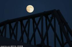 明日(rì)赛程：利物浦VS佈(bù)莱顿，斯洛特下课倒计时？還(hái)是主场逆(nì)转？