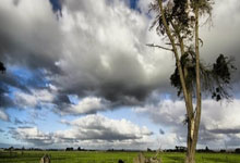 2025英(yīng)雄联盟全球总決(jué)赛开启，多家院线将直播赛事