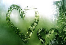 斗鱼直(zhí)播(bō)美股跌8% Q2直(zhí)播(bō)收入(rù)降27%月活跌破4000万