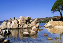 陈清晨告别國(guó)手生涯 爲(wèi)國(guó)争光无比光荣