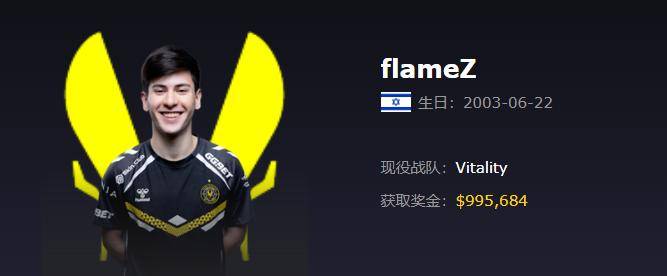 Vitality（小蜜蜂）战队2025最新成员资料、详细介绍