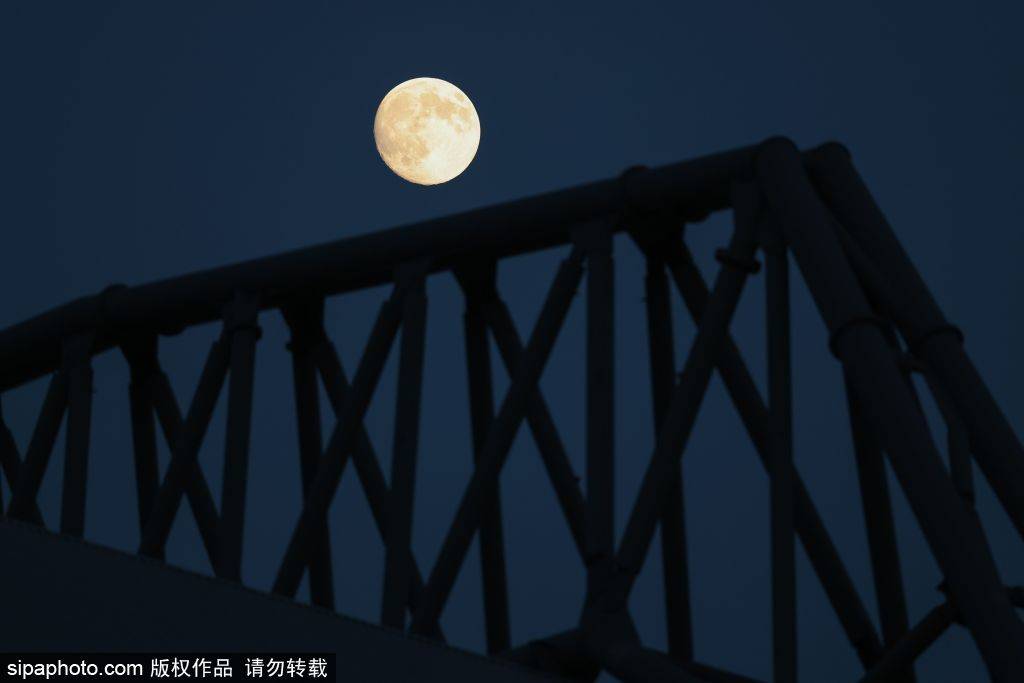 明日赛程：利物浦VS布莱顿，斯洛特下课倒计时？还是主场逆转？